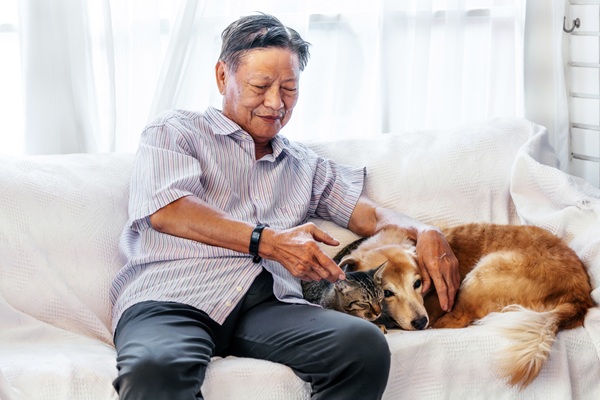 Advance Care Planning for Pets [post thumbnail]